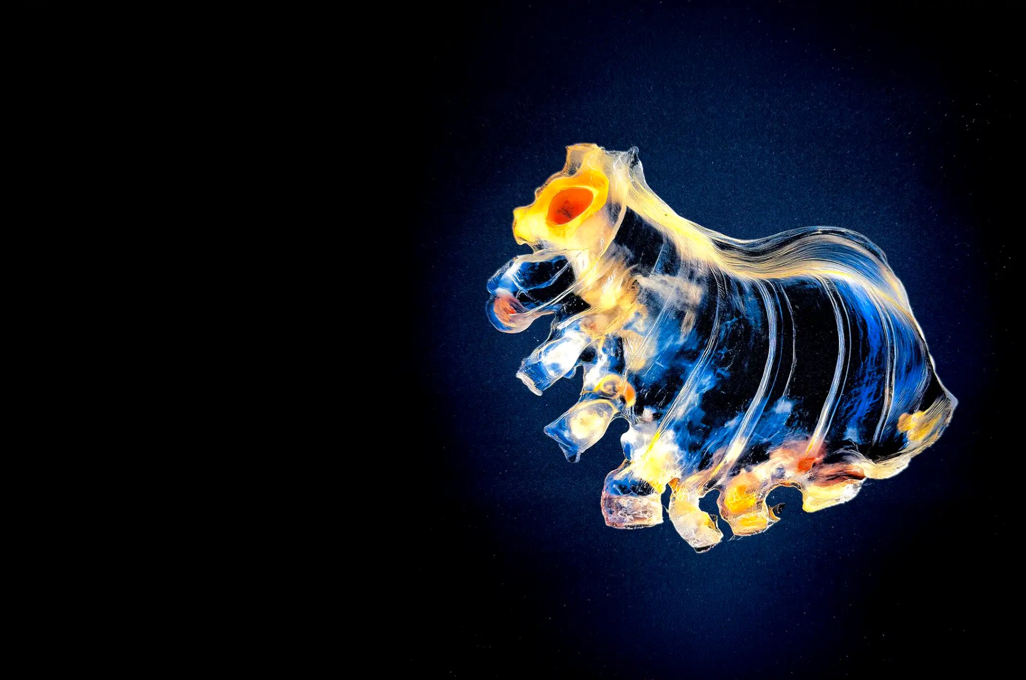 Future Tales of Long Ago