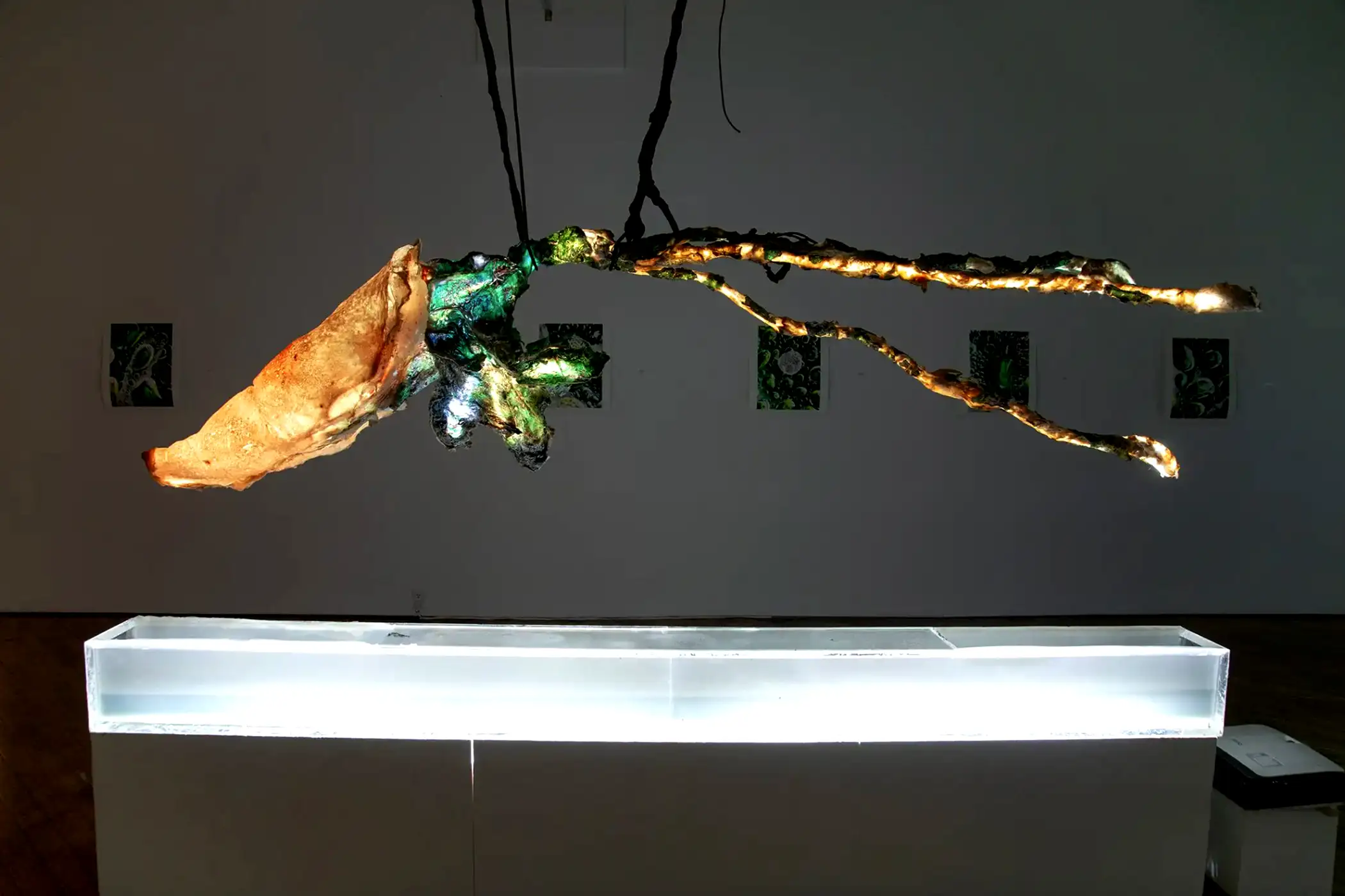 LACE Installation View